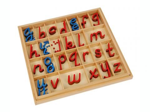 Small D'Nealian Style Moveable Alphabet, Red & Blue 5/10 Count With Box ...