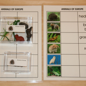 Cultural Sets - Objects & Cards