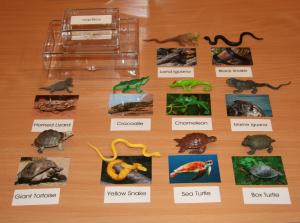 Reptiles Matching Set with 10 Objects and Picture Cards Reptiles Matching Set with 10 Objects and Picture Cards