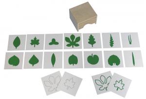 5.01.2 Lead Cards Cabinet and Cards E & O Montessori Materials