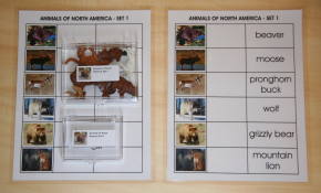 Animals of the World - the Whole Set Animals of the World - the Whole Set-Montessori Materials