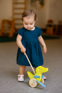 Montessori Push-Along Crocodile Toy for Toddlers Toddler with Montessori Push-Along Crocodile Toy for Toddlers